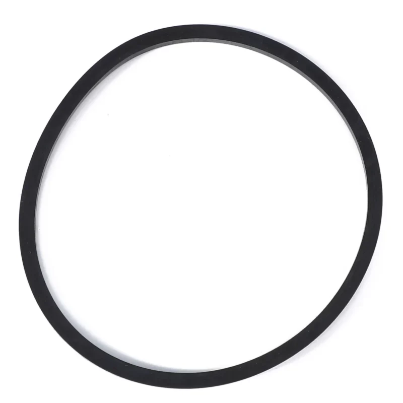 CAV Fuel Filter Seal
