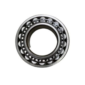 Double Roller Bearing