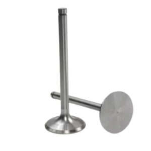 Zetor Suction Valve 8011-12045